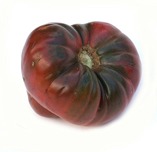 Semi di pomodoro, nero Brandywine, nero Pomodori, non-OGM Heirloom Pomodori, 50CT