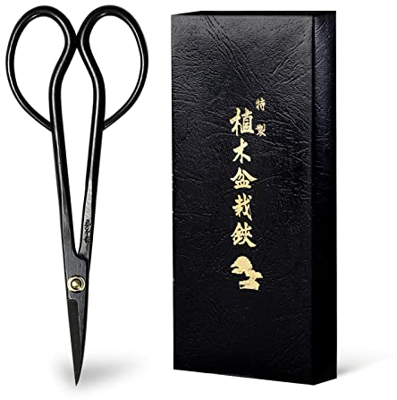 Wazakura Bonsai Schere - Satsuki Modell, Karbonstahl, 18 cm, Made in Japan - Schere zum Trimmen von Ästen, Blättern, Wurzeln und Trieben