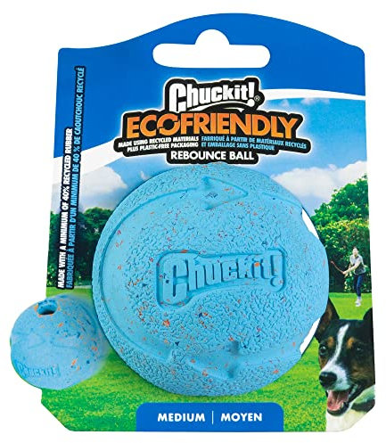 Chuckit! Fetch Rebounce Ball