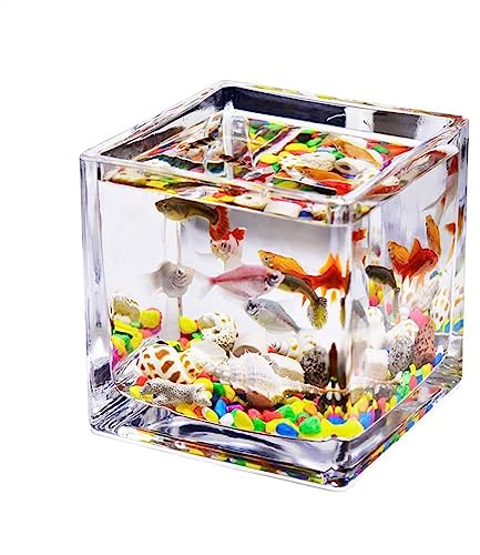 CJHFR472SG Terrarium Aquarium-Glas, quadratisch, verdickt, transparent, Aquarium, Arbeitsplatte, Kleiner Heimtank for Aquarien, ökologisches Schildkrötenbecken Insekten Schildkröten(Mittel)