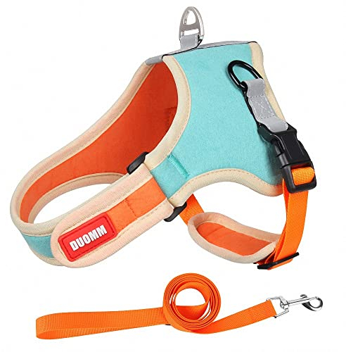 Hundegeschirr Kleine Mittelgroße Hunde Einstellbar Step-in Geschirr Reflektierend Weich Gepolstert Atmungsaktiv Brustgeschirr Brustgurte für Chihuahua Corgi Mops Terrier usw Farbe wie Seeblau (L)