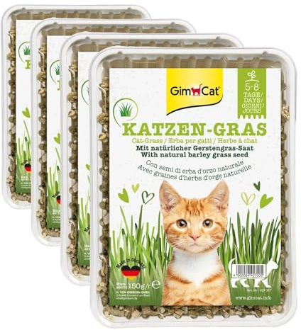 GimCat Hierba para Gatos 150 g - Hierba para Gatos con cría rápida en sólo 5 a 8 días - 1 Cuenco (1 x 150 g) (Paquete de 4)