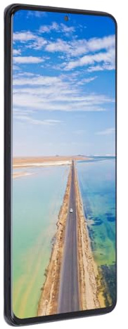 Plyisty Schermo LCD Digitalizzazione del Set Tattile per S20+Sostituzione dello Schermo, Kit di Riparazione Completo per, Adatto per L'uso Quotidiano