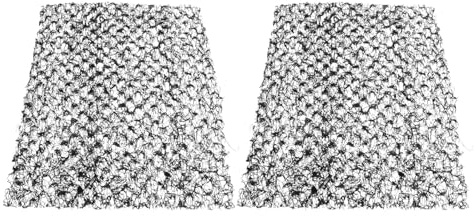 COLLBATH Coperta Antierosione 30x30 Cm 2 Pezzi, Rete per Controllo Sedimenti e Protezione Terreno, Stuoia per Giardinaggio e Paesaggio in Pendenza, per Aiuole e Prato Esterno