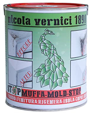 NICOLA VERNICI Pittura Antimuffa Bianca Inodore ed Ecologica per Interni ed Esterni - Vernice Muffa Stop Made in Italy a Base Acqua - 1 Litro