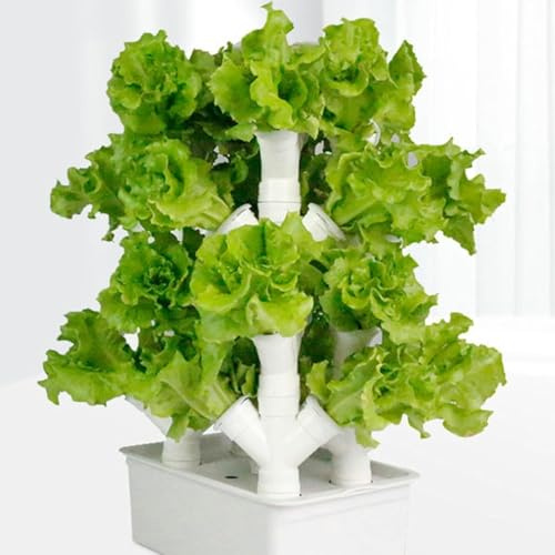 Mini système de Culture hydroponique pour Herbes aromatiques, Fruits et légumes (2 colonnes), kit de Germination pour pépinière