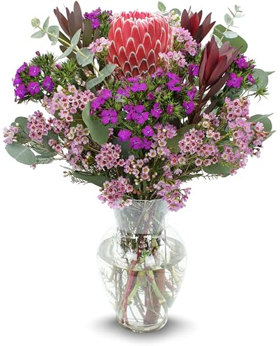 Stargazer Barn Royal Protea Bouquet - Without Vase