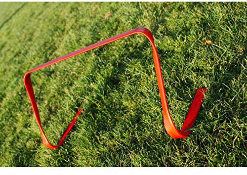 Lynx Sport Flexible Hecke 30 cm
