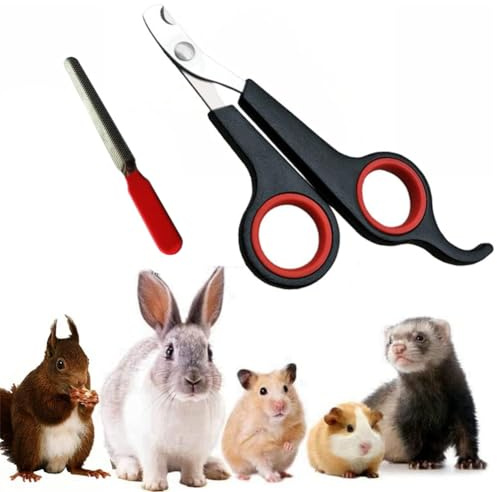 HAICHEN TEC Rabbit Nail Clippers and Trimmers Stainless Steel Pet Claw Grinding Scissors for Small Breeds Cats Guinea Pig Puppy Ferret Hamsters Chinchilla Sugar Glider Grooming Tool Set (Black)