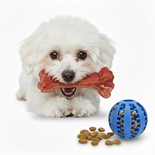 CE EVI Juguetes para Perros - Mordedor Perro 3 Opciones Según Mordida y Tamaño -Pack Pequeños Hueso Goma Natural 15 cm + Pelota Perro 6,5 cm para Premios- Rellenable con Pienso para Juego Interactivo