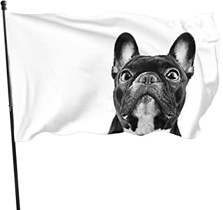 90 x 150 cm, dekorative Hausflagge, Hofbanner, französische Bulldogge, Flagge, Druck, Gartenflaggen, Hängeflagge, Dekoration