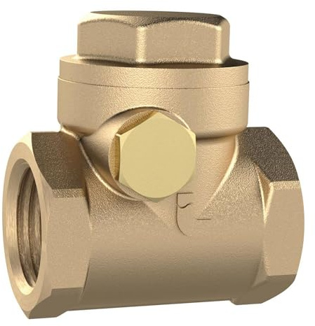 RIEGLER RK112MSNBRE Clapet anti-retour DN 40, fonte rouge, G 1 2, PN Max. 16 bars.