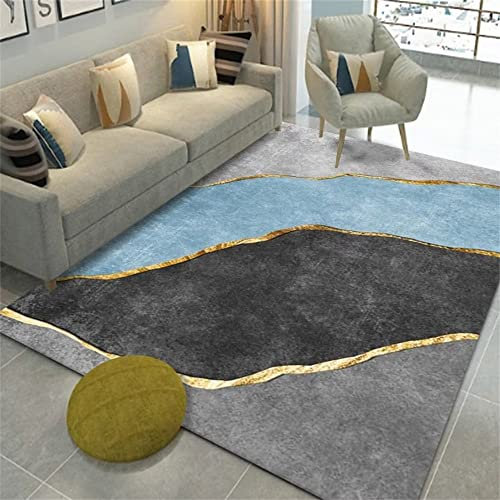 RUGMRZ Area Rug Deko Wohnzimmer Schlafzimmer Grauer Blauer minimalisti scher Wohnzimmer Teppich super weich und anpassbar Deko 80X150cm