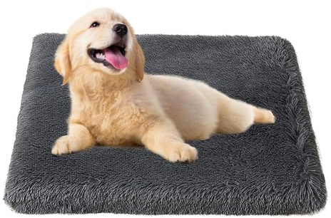 Bizcasa Cuccia Cane, 75x50x6cm, Ortopedica Cuscino per Cani, Tappetino per cani, Sfoderabile e Lavabile, Base Antiscivolo, Materassino Cane Resistente a Morsi e Graffi Cuccia Gatto, Grigio
