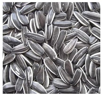 Sunflower Seeds For Garden Birds 10kg 5kg 3kg 2kg 1kg 500g Striped Sunflower Seeds Wild Bird Food (1kg)