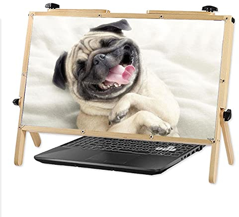 Bildschirmlupe Computer-Bildschirmlupe für Laptop, Handy-Bildschirmlupenhalter mit verstellbarem Winkeldesign, 22 praktische Faltbare Projektionsanzeige, ultraklare Blu-Ray 3-Fach-Vergrößerung (n