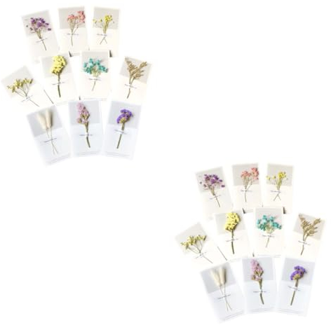 NUOBESTY 2 Sets Grußkarten Mit Getrockneten Blumen Für Thanksgiving Weihnachten Geburtstag Valentinstag Kreative Dekoration Für Zuhause 10 Stück X 2
