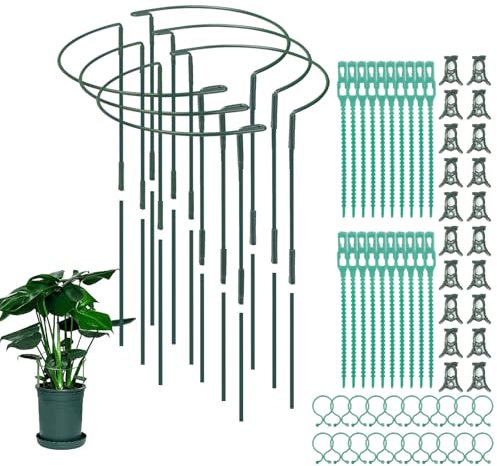 COEWUR 6Pack 25x60cm Detachable Plant Stakes and Supports Plant Stakes for Outdoor Plants Tall Half Round Metal Garden Stakes Plant Cages for Roses Sedum Vegetables Tomatoes Flowers Vine