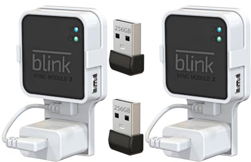 256 GB Blink-USB-Flash-Laufwerk, mit Steckdosenhalterung, kompatibel mit Blink Sync Modul 2, platzsparende Halterung für Blink-Sicherheitssystem (Sync-Modul 2 ist Nicht im Lieferumfang enthalten), 2