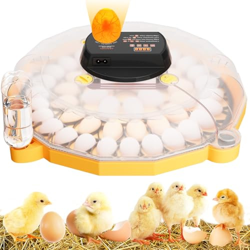 TAIMIKO Brutautomat Vollautomatisch für 48 Eier Inkubator Hühner | Automatische Feuchtigkeitskontrolle und Umdrehen, einstellbare Temperatur LED-Anzeige für Geflügel-, Wachtel- und Taubeneier