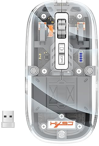 THLMT Souris sans Fil BT 2.4G, Souris de Jeu Bluetooth pour Tablette, Ordinateur Portable, Souris Rechargeables Transparentes pour Ordinateur Portable, Ordinateur Portable, Souris RGB Light (Gris)