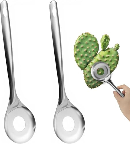 Pelador De Nopales - Cucchiaio pelador De Nopales per cactus, con foro, multifunzione, portatile, utensili da cucina per cucinare senza sforzo, 2 pezzi