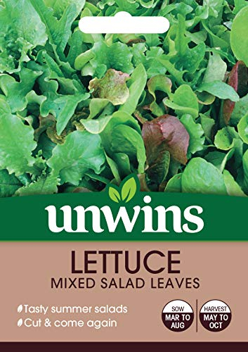 Unwins 30310621 Lettuce Mixed Salad Leaves Seeds, Clear
