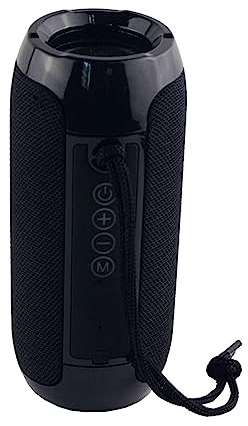 Manta Boombox SPK12GO - Altavoz Bluetooth portátil (2 x 5 W, FM/USB/Micro SD, Entrada Auxiliar, Manos Libres, Graves mejorados)