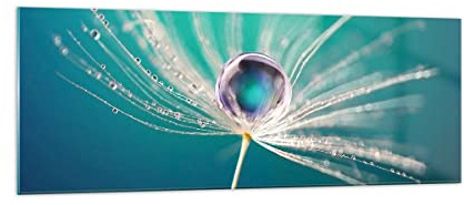 ARTTOR Glasbild 140x50cm Wandbild Glasdruck Botanik Blumen - 3991 | Pflanze Natur Panorama Groß XXL Modern Dekoration Wohnzimmer Schlafzimmer Küche Wanddeko Kunstdruck Art Wall Decor ARTTOR