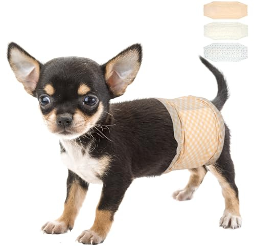 Pet Soft Pañales para Perros Desechables Paños para Perros machos Pañales para Mascotas Suaves absorbentes Super XS 12count (6'-13')