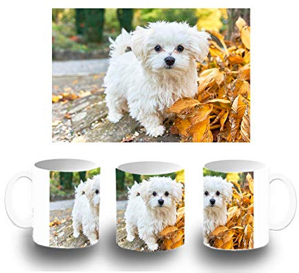 MERCHANDMANIA TAZA BLANCA PERRO RAZA BICHON MALTES color mug