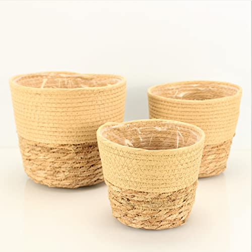 OF 3 Blumentöpfe aus Seegras geflochten, rund im Set - Blumentopf Pflanztopf Übertopf groß (Beige P71)