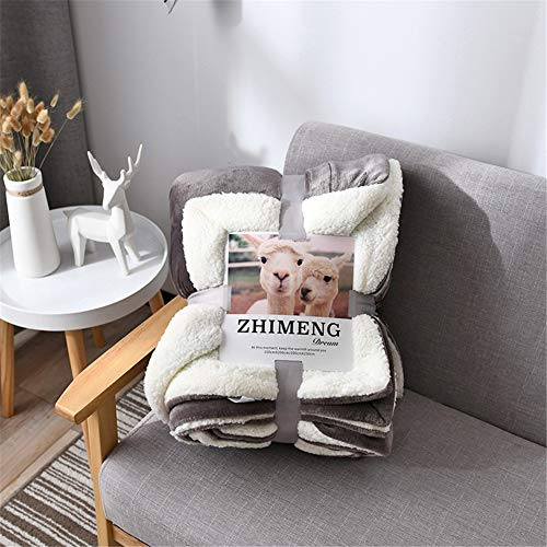 YCDZ Manta De Algodón Puro, Manta De Cachemir De Franela para Ropa De Cama, Microfibra, Manta Cálida Súper Suave Y Esponjosa, Manta De Terciopelo (Gris-Plata,150 x 200 cm)