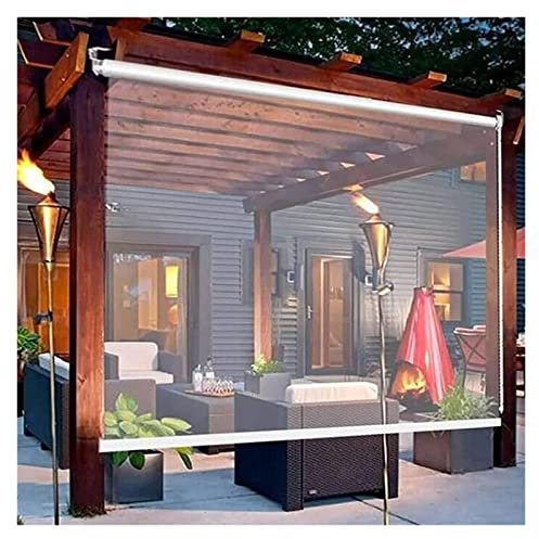 STRMAX Clear Plastic Waterproof Roll Up Blinds, Outdoor Garden, Balcony, Patio Door, Pergola & Gazebo Roller Blind, PVC, Manual Operation, 100x190cm