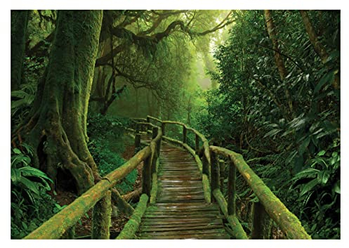 Fototapete Wald 3D Effekt Waldweg Brücke Bäume Dschungel Pflanzen - inkl. Kleister - für Wohnzimmer Schlafzimmer Flur Vlies Tapete Vliestapete Wandtapete Motivtapeten Montagefertig (416x254 cm)