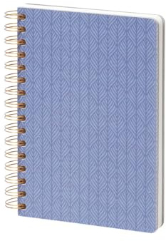 Rössler Papper 18741532101 – Anteckningsbok blad blå DIN A5, 160 sidor, bullet journal blank