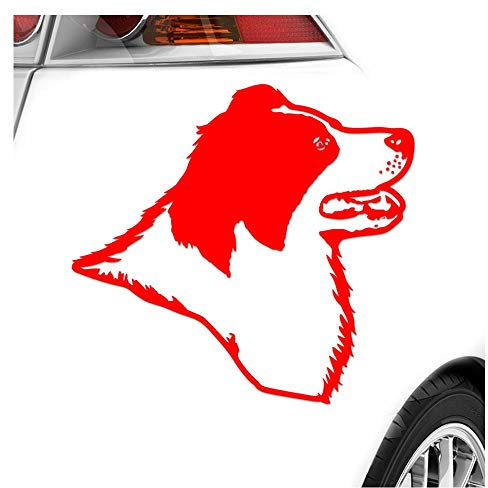 Kiwistar - Autoaufkleber - Border Collie Hund - Rot - 24x22cm - Aufkleber für Auto, Laptop, Fahrrad, LKW, Motorrad mehrfarbig JDM Decal Racing