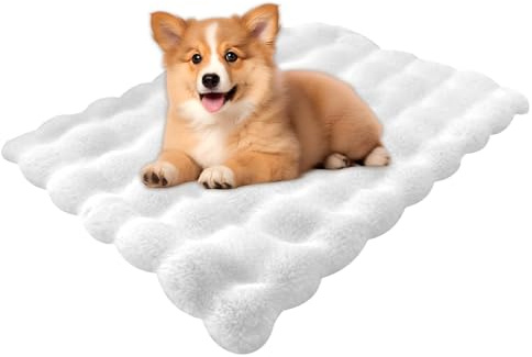 Matte für Kätzchen, Schlafmatte für Hunde, Katzenbett, Plüschmatte für Katzenbett, Hundehütte, Heizmatte für Katzen