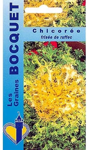 Sachet de graines de Chicorée frisée de Ruffec (à grosses côtes) - 4 g - légume feuille - LES GRAINES BOCQUET