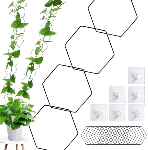 Kettenspalier für Kletterpflanzen Rankhilfe Wand Rankhilfen für Kletterpflanzen Rankhilfe für Kletterpflanzen Wall Planters Indoor Plants für Pothos Pflanze, Monstera, Grünpflanzen