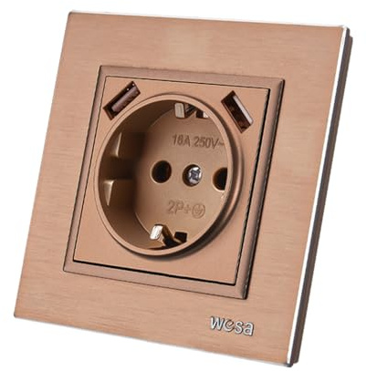 Wandsteckdose mit USB-Einbausteckdose,2 USB-Steckdosen,Wandsteckdose für den Innenbereich 250V AC 16A,Erdungsstecker Kupferfarben Aluminium Gebürstetes Panel FL-05-L
