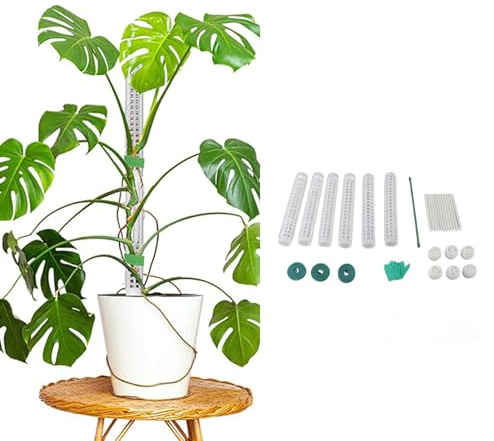 PerGar 6 Postes de Musgo, Soporte para Plantas Monstera, Postes de Musgo de Plástico para Plantas Monstera, Soporte de Plantas Apilable de 10 Pulgadas para Plantas Trepadoras Pequeñas y