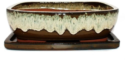 exotenherz Bonsai-Schale mit Unterteller Gr. 6 Braun-Beige rechteckig Modell GB5 L 37cm B 28cm H 10cm