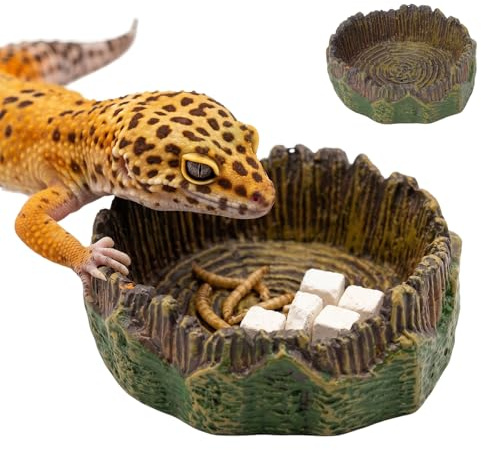 Ciotola per acqua, terrario, ciotola per acqua, rettili, ciotola per acqua, terrario, accessorio realistico, decorazione per terrario, 2 pezzi, per Geco Bartagame lucertola, tartaruga Habitat