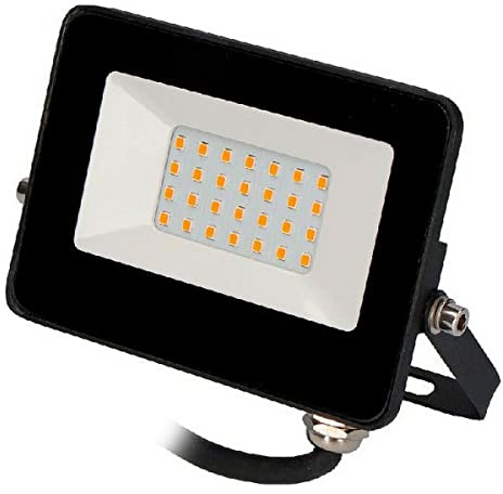 EDM 70317