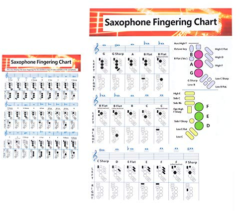 EXCEART 2st Akkord Diagramm Gitarren-bass-zubehör Fingerboard-sticker-guide Violine Gitarrenaufkleber Griffbrett Fingerführung Griffbrett Übertragen Musik Cello Beschichtetes Papier Weiß