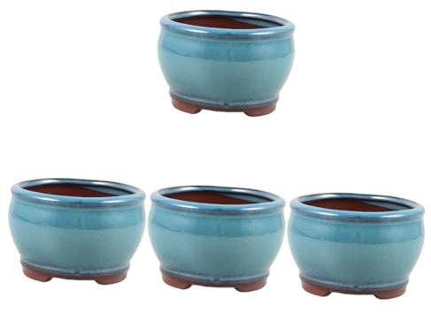 BESPORTBLE 4 Pezzi Di Vaso Decorativo in Muschio Vaso Per Bonsai Piccolo Vaso Per Fiori Per La Casa