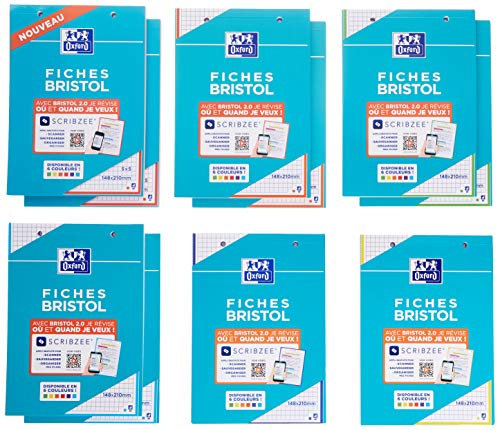 Oxford Bristol 2.0 flashcard 2-gaats A5 geruit 5mm 210g 30 vel assorti