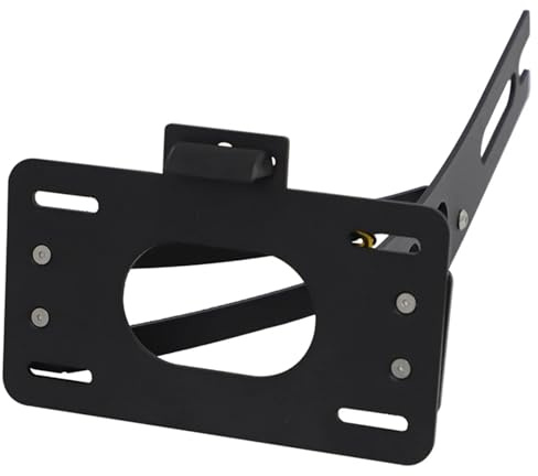 DAYOTIE Kompatibel Mit Shadow VT600C 1988-2000 Motorrad Side Eliminator Seitliche Kennzeichenhalterung Seitliche Kennzeichenhalter Motorradmarkenhalterung