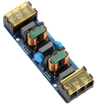 Carte suppresseur de bruit professionnelle 25 A - Filtre d'alimentation en deux étapes pour électronique sensible - Filtre passe-bas à deux étapes